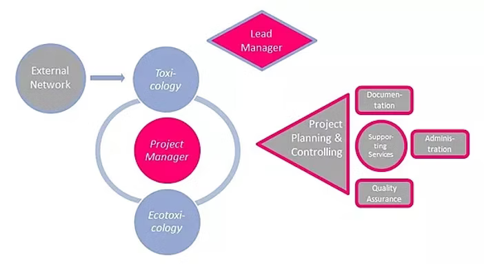 Organigram using different shapes. Shows the structure of the ED micro-unit